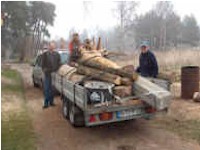 Holzarbeiten - Eiche Stamm mit Wurzel   - Bilder von Siegfried Kümmell